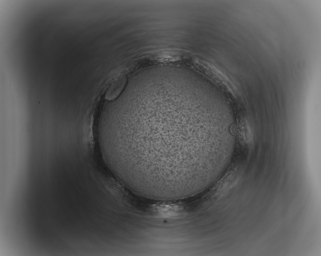 X0000102460512200808151410