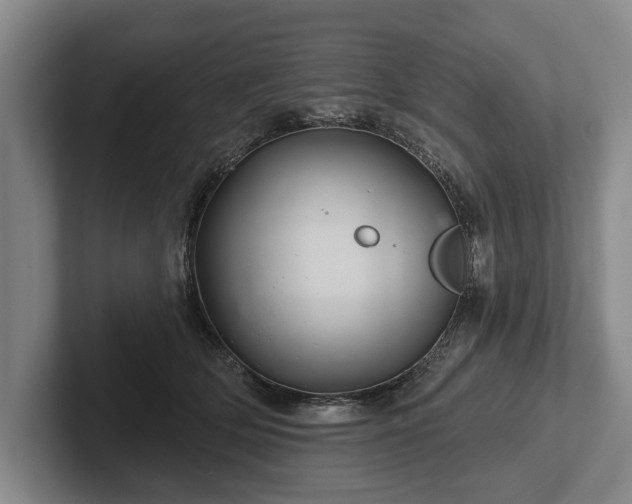 X0000102460514200808151410