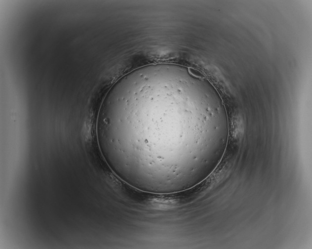 X0000102460515200808151410