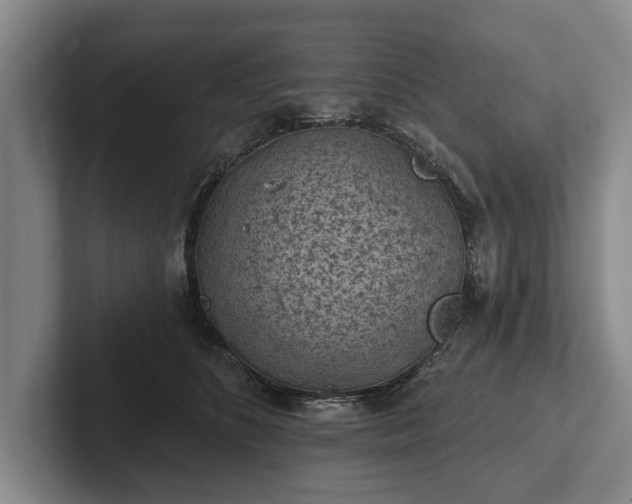 X0000102460516200808151410