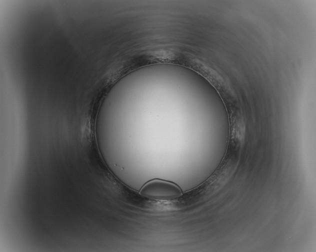 X0000102460518200808151410