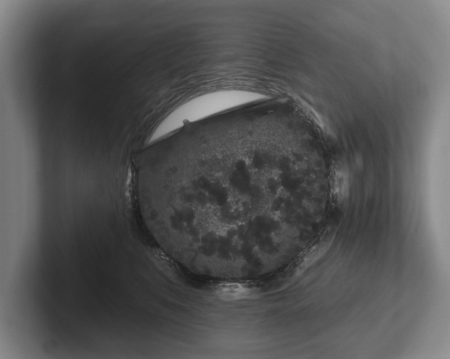 X0000102460519200808151410