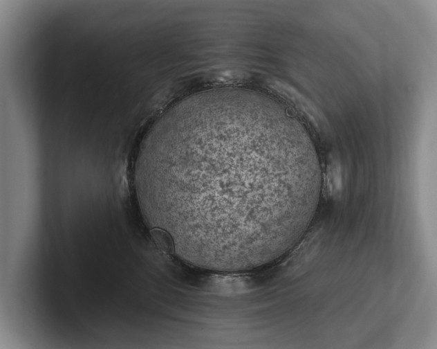 X0000102460520200808151410