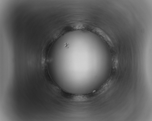 X0000102460521200808151410