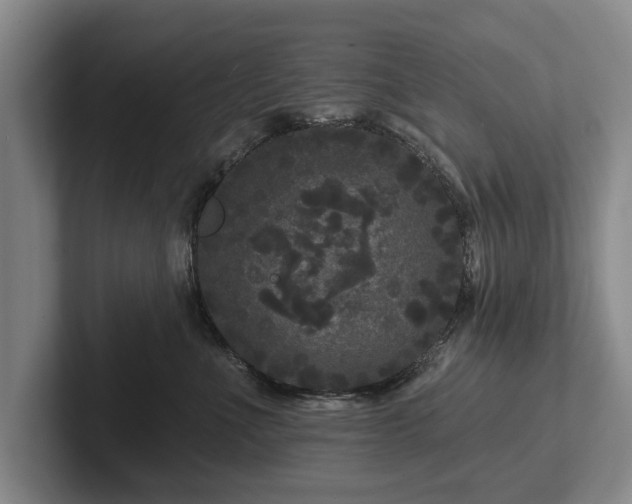 X0000102460523200808151410