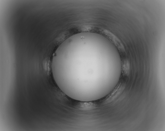 X0000102460525200808151410