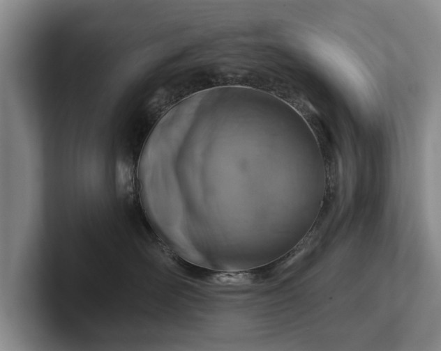 X0000102460526200808151410