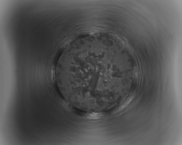 X0000102460527200808151410