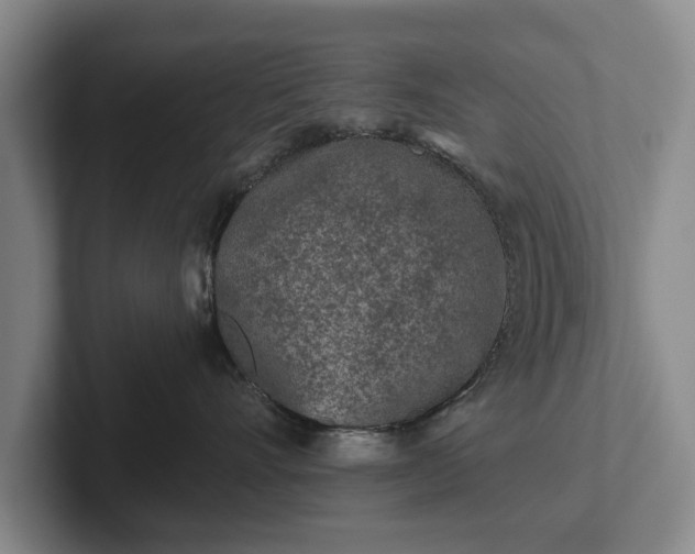 X0000102460528200808151410