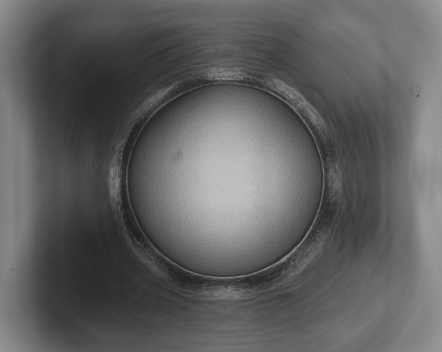 X0000102460533200808151409