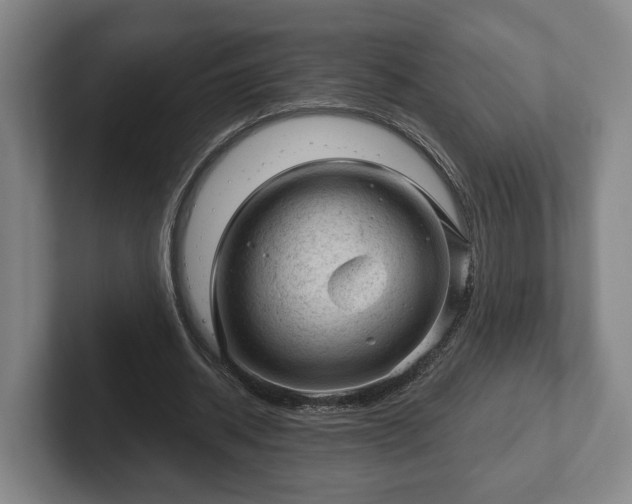 X0000102460534200808151409