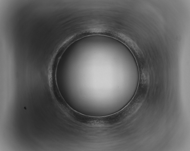 X0000102460535200808151409