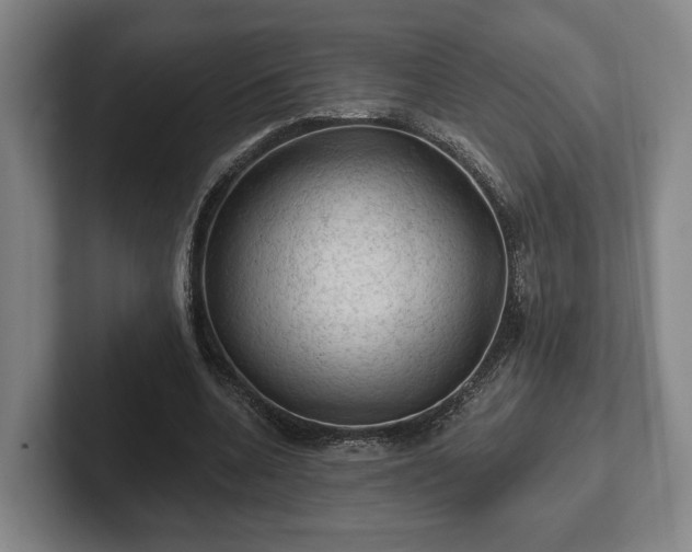 X0000102460536200808151409