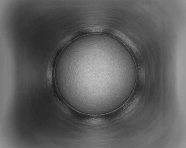 X0000102460537200808151409