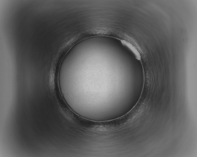 X0000102460538200808151409