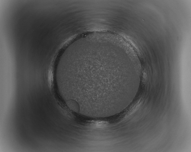 X0000102460539200808151409