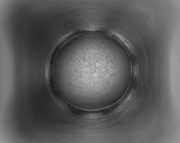 X0000102460540200808151409