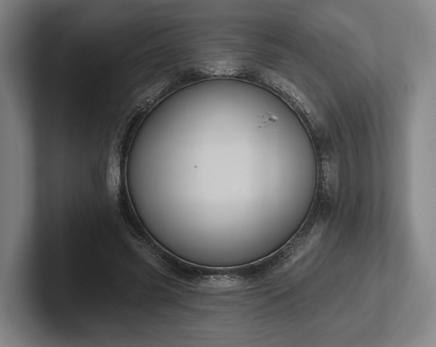 X0000102460541200808151409