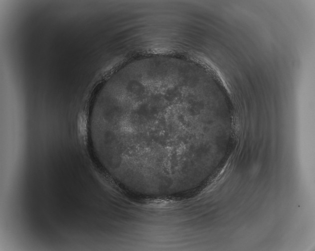 X0000102460542200808151409