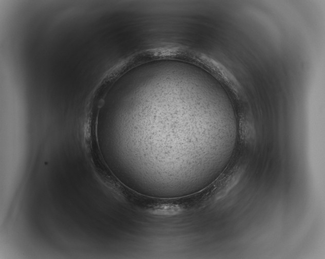 X0000102460543200808151409