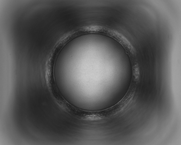 X0000102460544200808151409