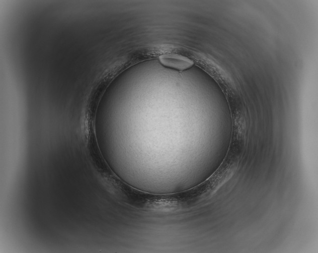 X0000102460546200808151409