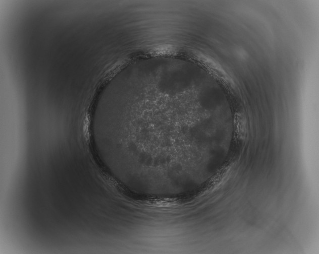 X0000102460550200808151409