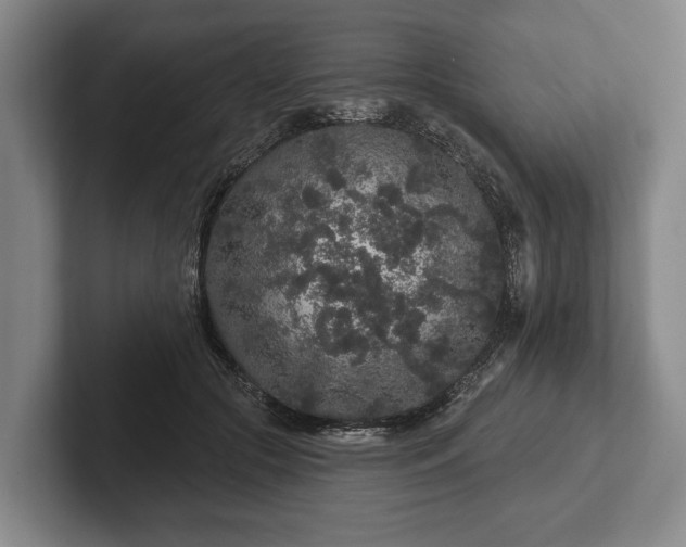 X0000102460553200808151409