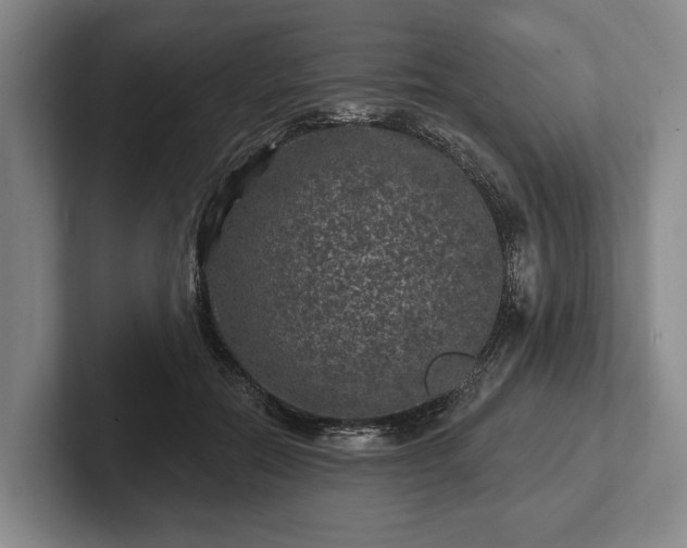 X0000102460554200808151409