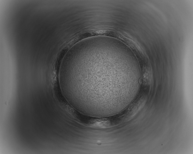 X0000102460555200808151409