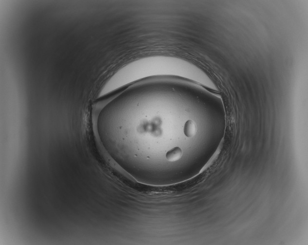 X0000102460556200808151409