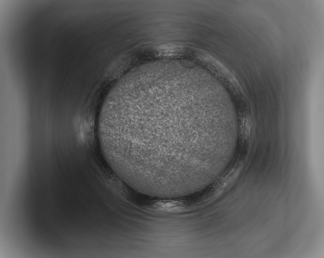 X0000102460557200808151409