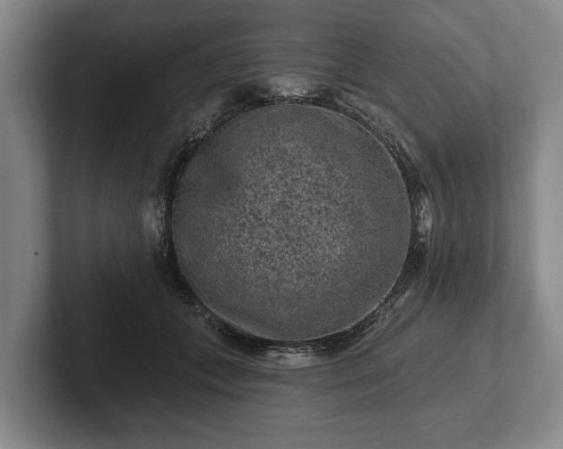 X0000102460559200808151409