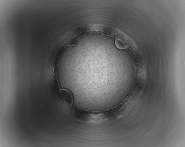 X0000102460560200808151409