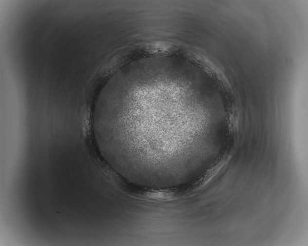 X0000102460561200808151409