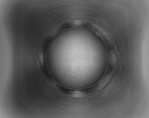 X0000102460562200808151409