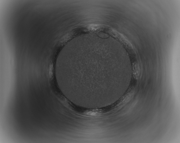 X0000102460563200808151409