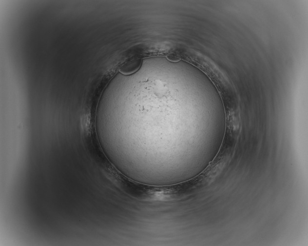 X0000102460564200808151409