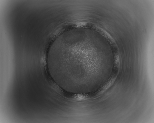 X0000102460565200808151409