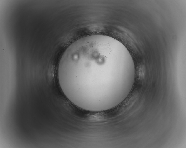 X0000102460567200808151409