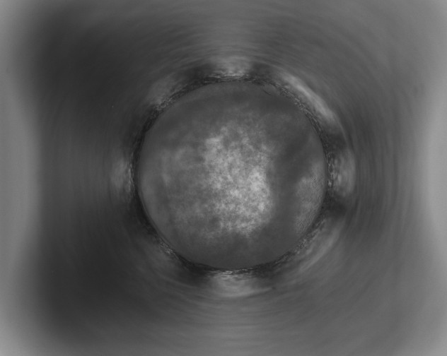 X0000102460568200808151410