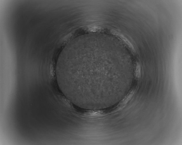 X0000102460569200808151410