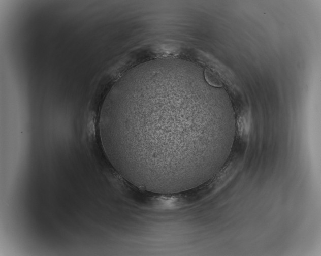 X0000102460570200808151410