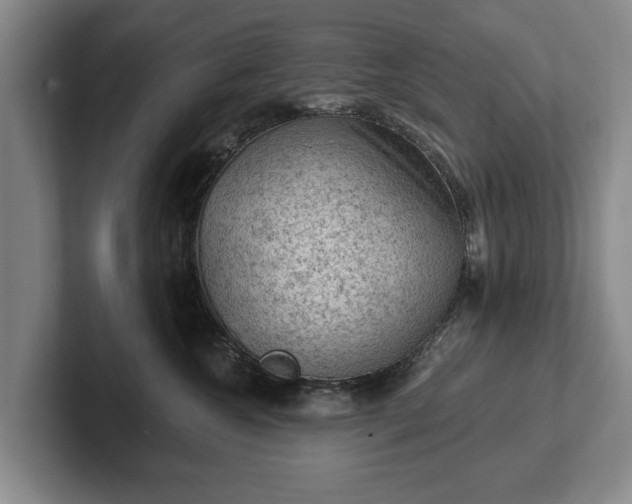 X0000102460572200808151410