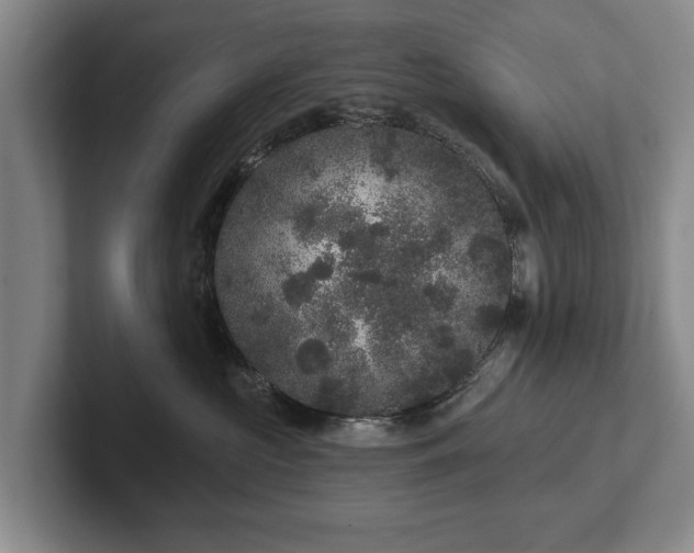 X0000102460573200808151410