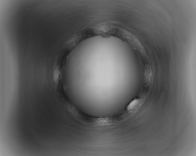 X0000102460574200808151410