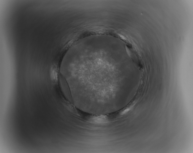 X0000102460576200808151410