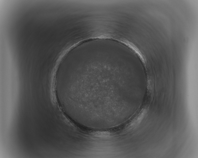 X0000102460577200808151409