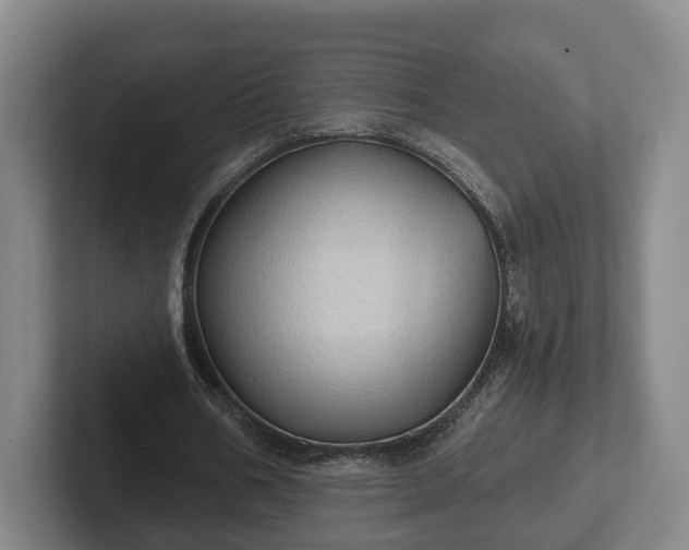 X0000102460578200808151409