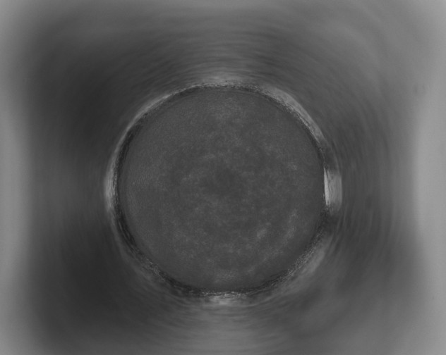 X0000102460579200808151409